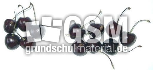 Kirschen5+7.jpg